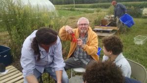Pullman Memorial's environmental public witness contingent visited Fruition's organic seed farm down in Naples, NY at the end of August 2014.  Pictured, longtime member Alan Nugent harvests tomato seeds surrounded by fellow "pulpers" member Darrell Dyke and his family.